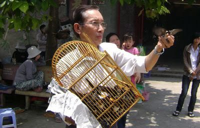PHÓNG SANH                              Phong-sanh1